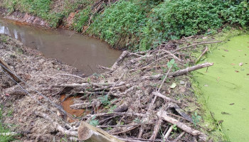 Provincie Antwerpen vraagt meer duidelijkheid rond aanpak van bevers