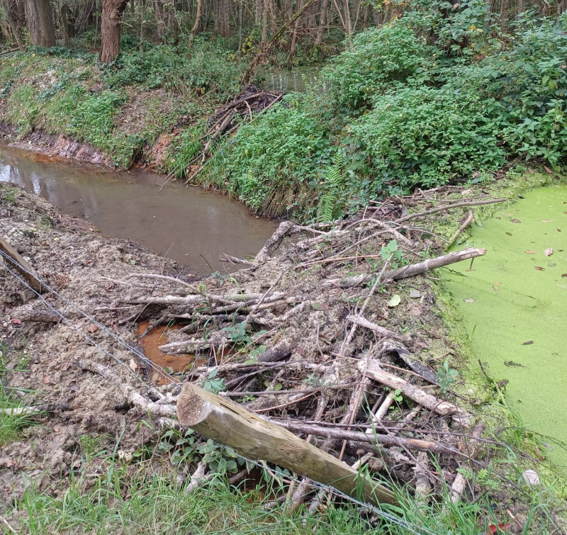 beverdam in Kinrooi