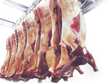 Italië brieft FAVV over cadmium in paardenvlees