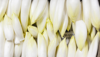 Bar slecht jaar voor witlooftelers door overaanbod en dalende consumptie