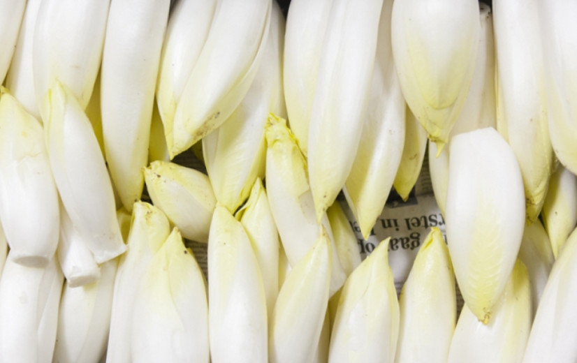 Bar slecht jaar voor witlooftelers door overaanbod en dalende consumptie