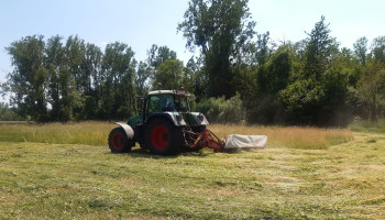 Meanderend maaien in graslanden werkt als een magneet voor bestuivers