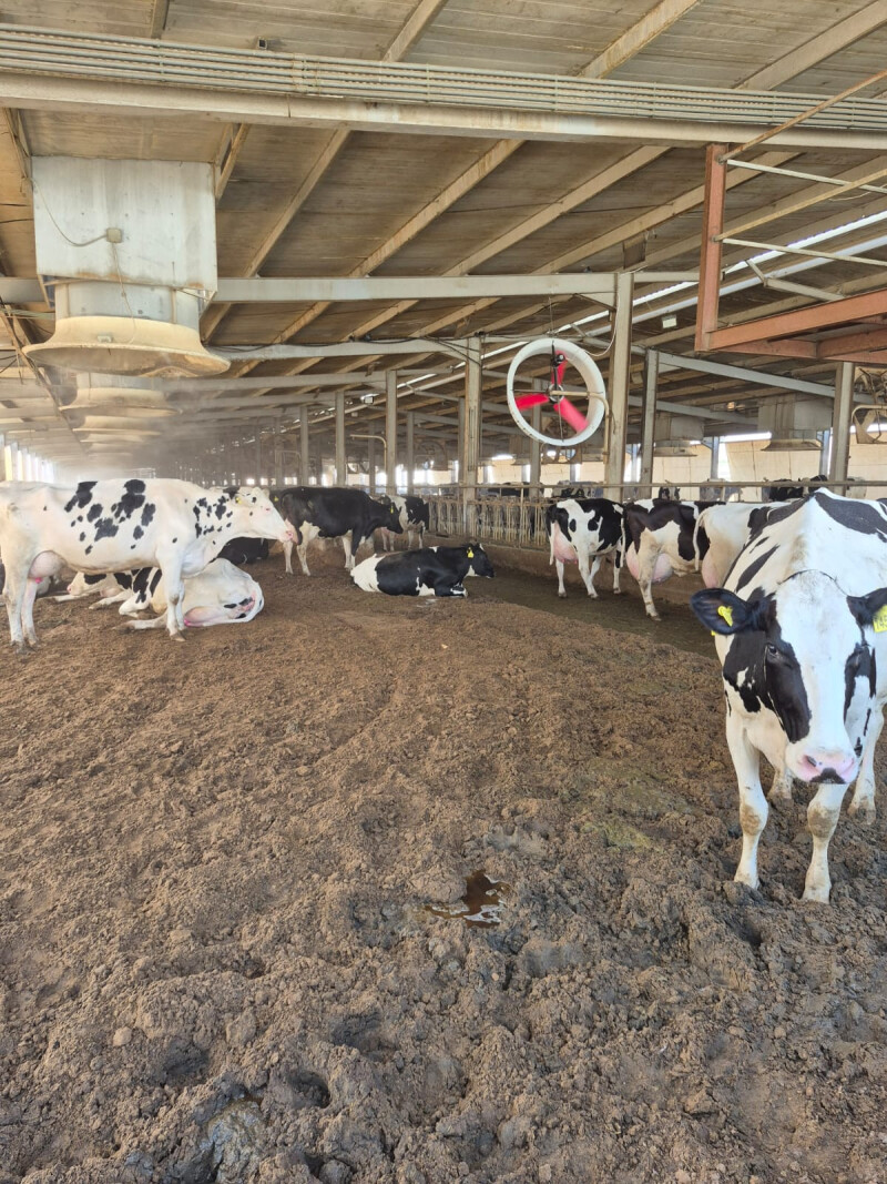 WhatsApp Image 2026-03-05 at 11.52.20 (1)