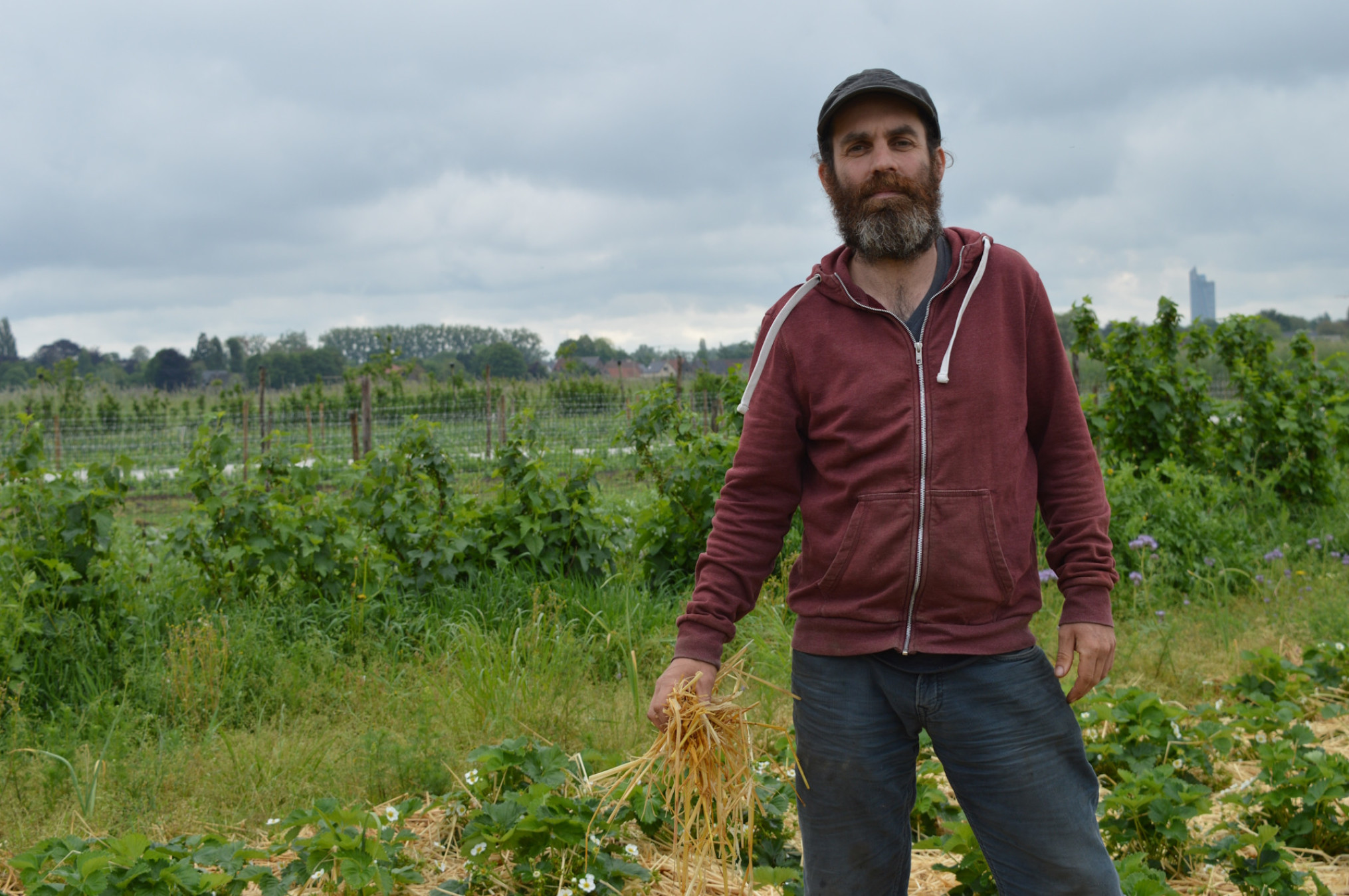 Maarten Cools op weide