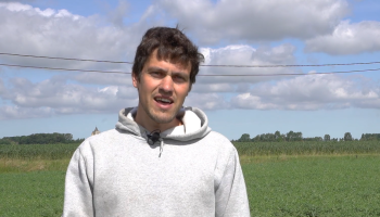 VIDEO: Karel Dewaele pioniert met plantaardige eiwitten in de Westhoek: “Ik heb veel vertrouwen in de biomarkt”