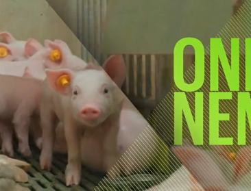 Z-Agromarketing: Respect voor boeren vertalen naar aankoopgedrag consument