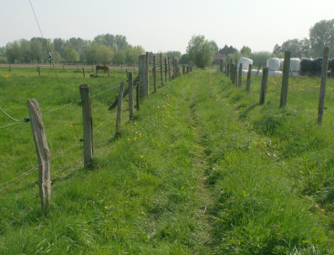 Gemeentebesturen komen aan zet inzake buurtwegen