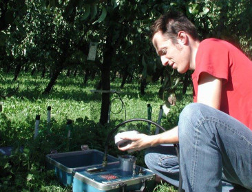 Kennis van irrigatie perenboomgaard is geperfectioneerd