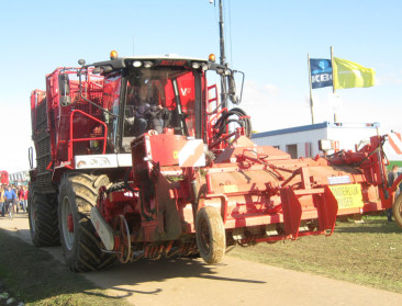 Suikerindustrie boert goed maar markt niet uit balans