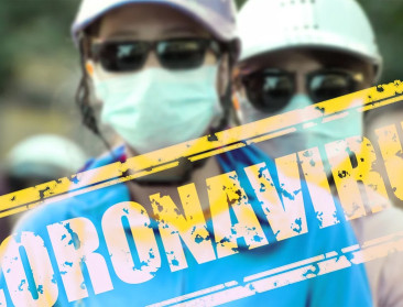 Vooral indirecte impact van coronavirus op landbouw