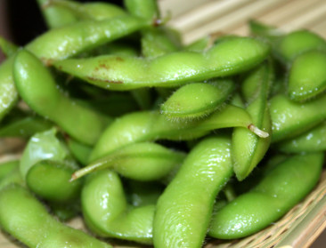 Bionext start bezwaarprocedure tegen octrooi op soja