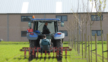 ILVO lanceert gratis online lesplatform boslandbouw