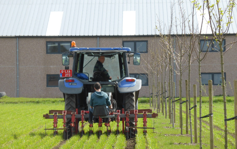 ILVO lanceert gratis online lesplatform boslandbouw