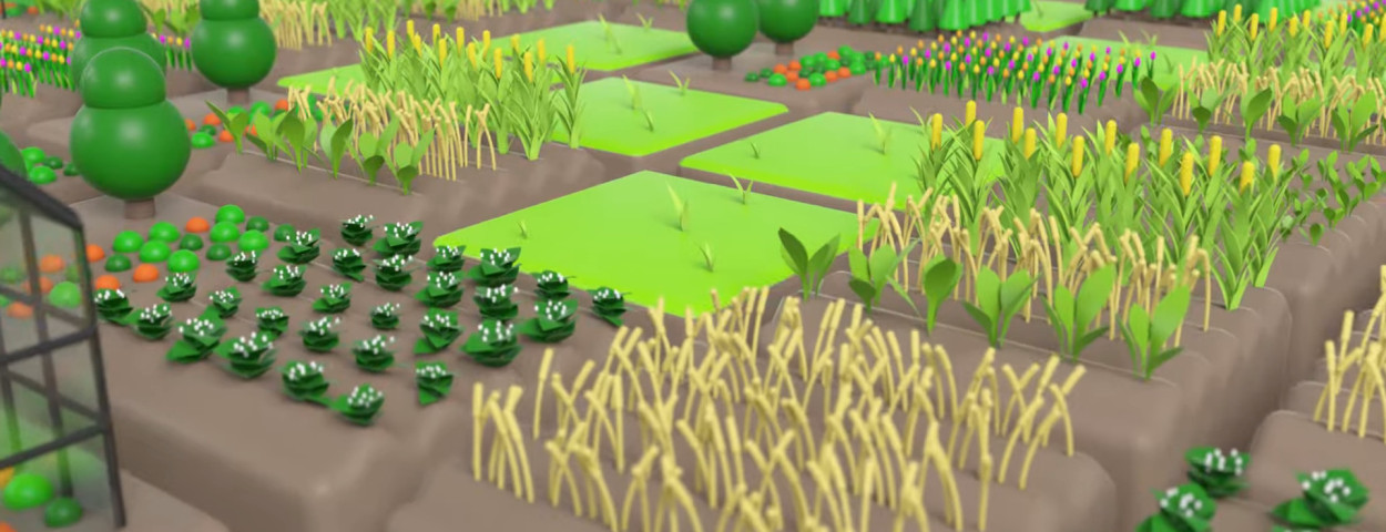 screenshot studie video