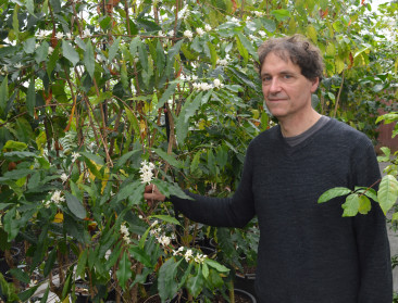 Plantentuin Meise redt de ochtend met klimaatrobuuste koffie