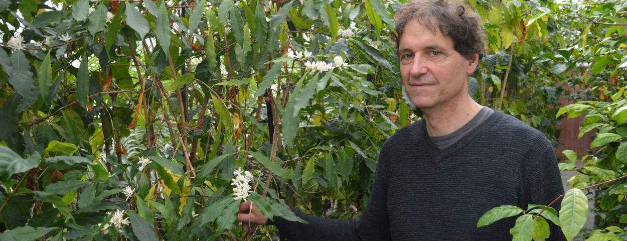 Piet Stoffelen