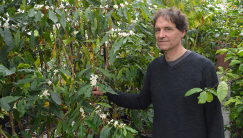 Plantentuin Meise redt de ochtend met klimaatrobuuste koffie