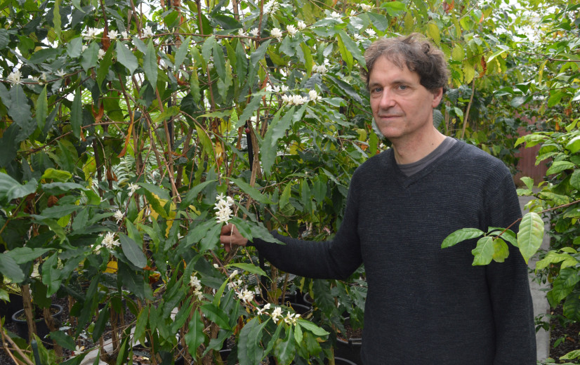 Plantentuin Meise redt de ochtend met klimaatrobuuste koffie