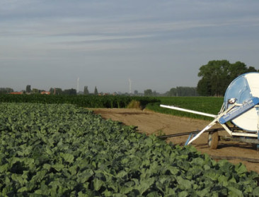 "Vlaming bereid om water te besparen bij droogte"