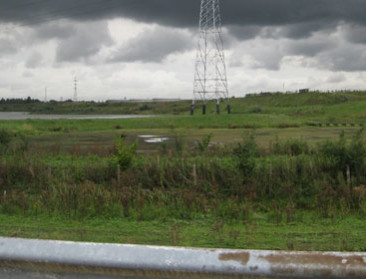 Proactieve natuurontwikkeling rond haven terug naar af