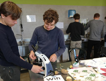 Studenten krijgen AgroSTEM-onderwijs op tuinbouwbedrijf