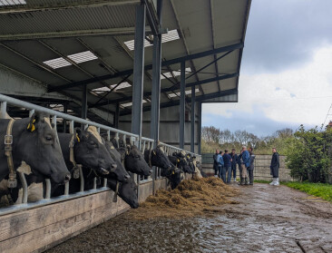 Hoe tackelt Ierland zijn waterproblematiek en kan Vlaanderen er iets van leren?