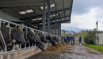 Hoe tackelt Ierland zijn waterproblematiek en kan Vlaanderen er iets van leren?