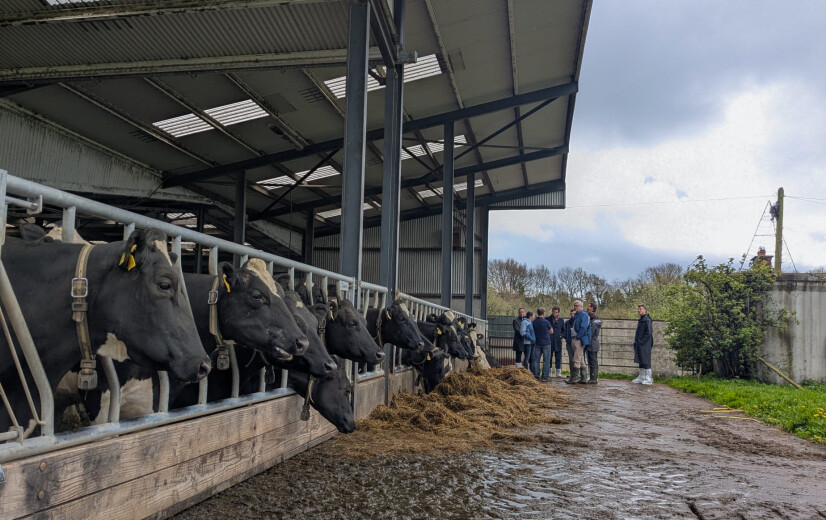 Hoe tackelt Ierland zijn waterproblematiek en kan Vlaanderen er iets van leren?