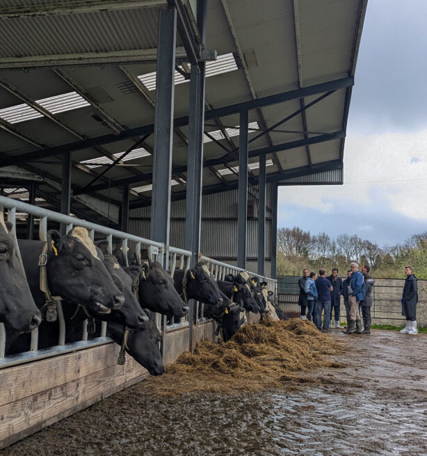 Hoe tackelt Ierland zijn waterproblematiek en kan Vlaanderen er iets van leren?