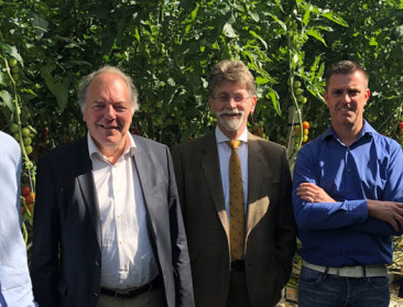 Vlaanderen en Nederland beproeven glastuinbouwtechniek