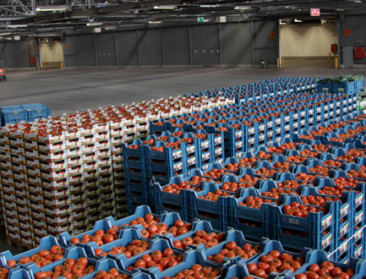 2019 is recordjaar voor groente- en fruitveilingen