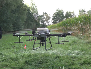 🎥 Primeur: Drone zaait groenbemesters onder maïs