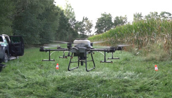 🎥 Primeur: Drone zaait groenbemesters onder maïs
