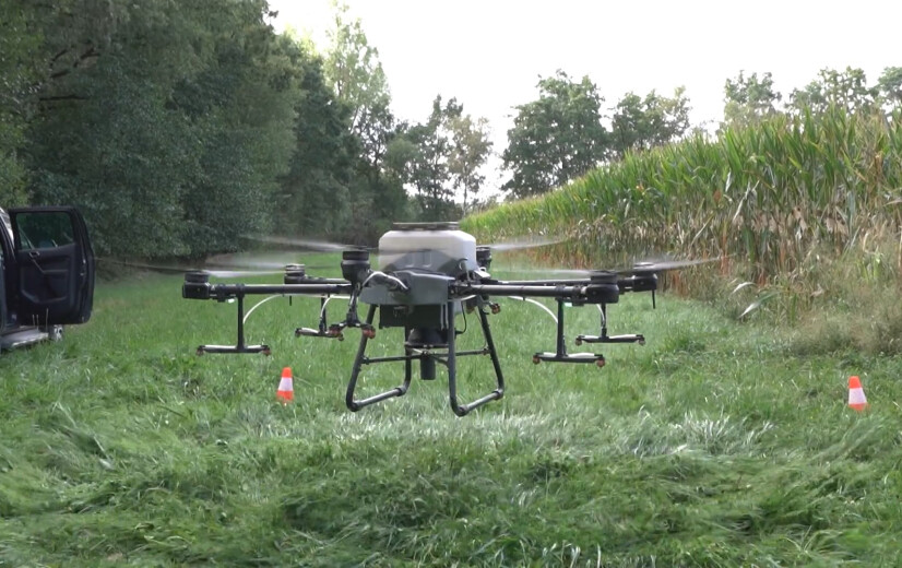 🎥 Primeur: Drone zaait groenbemesters onder maïs