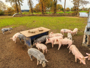 Opinie: "Zonder systeemverandering blijft antibioticaplan dode letter"