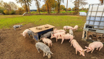 Opinie: "Zonder systeemverandering blijft antibioticaplan dode letter"