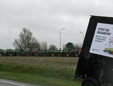 Groen licht voor flankerend beleid oranje veebedrijven
