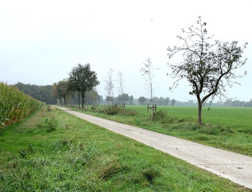 VLM lanceert derde oproep rond houtkanten
