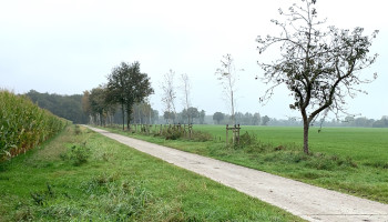 VLM lanceert derde oproep rond houtkanten