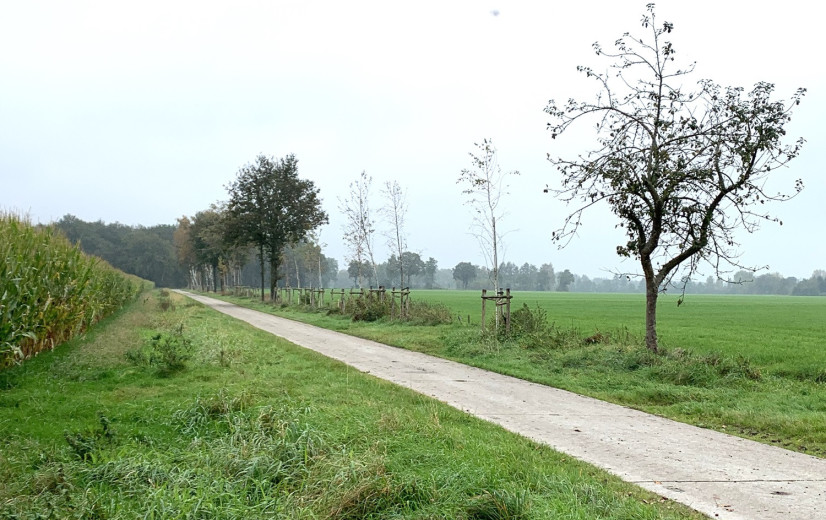 VLM lanceert derde oproep rond houtkanten