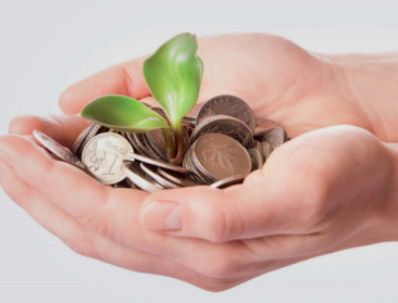 Brochure helpt siertelers met bedrijfsbeslissingen