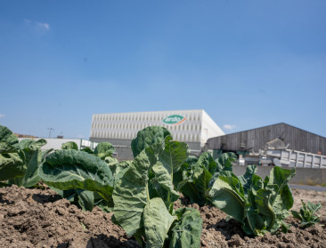 Focus op regeneratieve landbouw levert Ardo Changemakers Award op