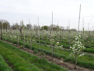 Middenveld staat achter agromilieumaatregelen PDPO III