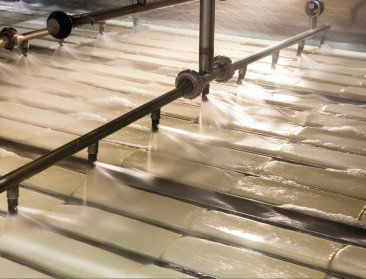 Belgische zuivelbedrijven maken 6.000 ton meer mozzarella