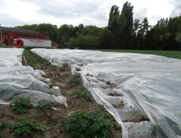Sluitingen bij Delhaize verontrusten lokale producenten