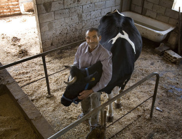 FAO hoopt dat Syrische landbouwsector overeind blijft