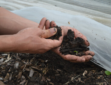 SALV: “Vijfde Vlaamse Strategie Duurzame Ontwikkeling mist participatie”