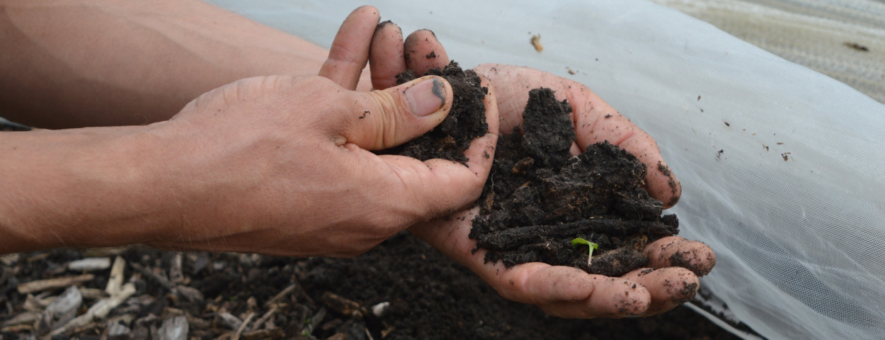 Bodem Sol Maraichage