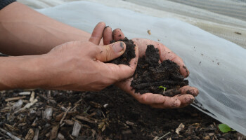 SALV: “Vijfde Vlaamse Strategie Duurzame Ontwikkeling mist participatie”