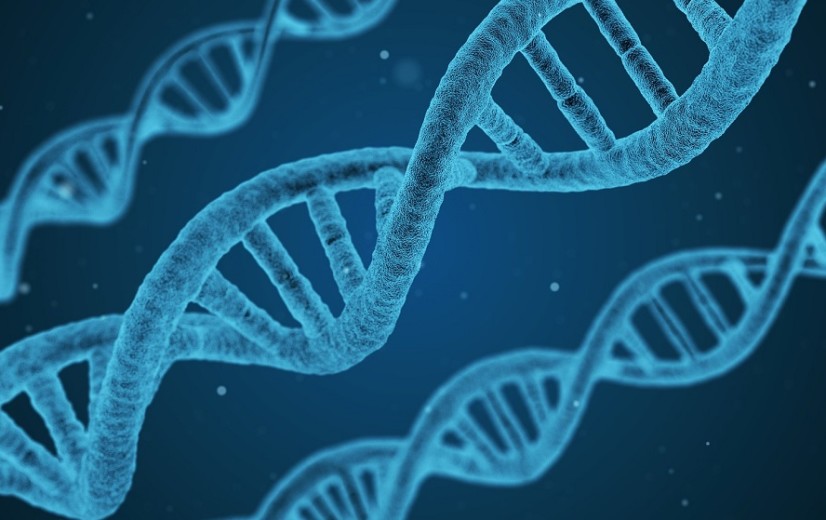Vlaanderen staat niet weigerachtig tegenover CRISPR/Cas9